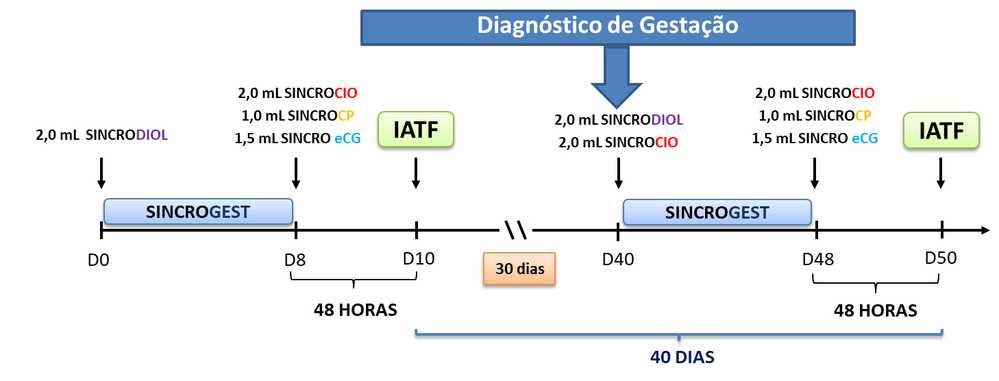 ressincronização convencional