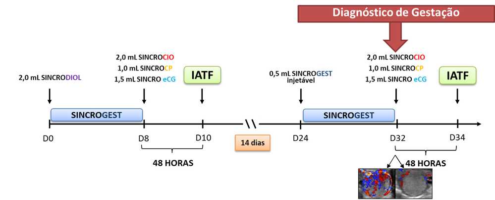 ressincronização superprecoce