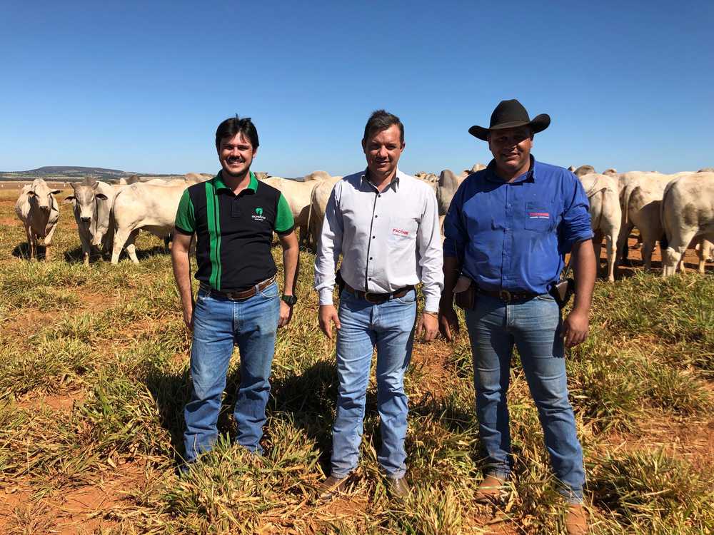 Eqiupes Ourofino e Facchini em propriedade rural