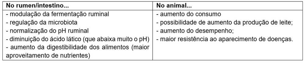 influência da suplementação de probióticos 