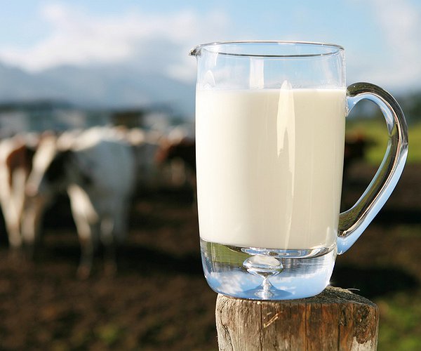 Notícias - Governo peruano veta lei que proíbe uso de leite em pó no país