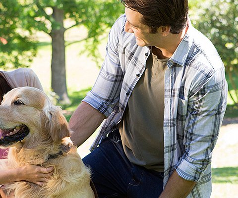 Artigos - Zoonoses: você sabe o que é e como proteger seu cão e sua família?