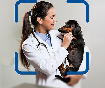Notícias -  Ourofino Saúde Animal premia estudantes de Medicina Veterinária em programa de incentivo