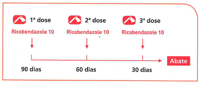 Protocolo de tratamentos e controle da cisticercose bovina.