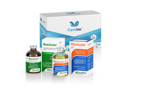 Mastite clínica: Ciprolac, Resolutor e Maxicam 2% Ourofino