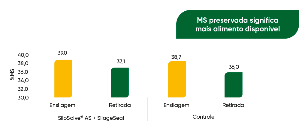 Figura 1. Teor de matéria seca da silagem no momento da ensilagem e após abertura dos silos de acordo com os tratamentos