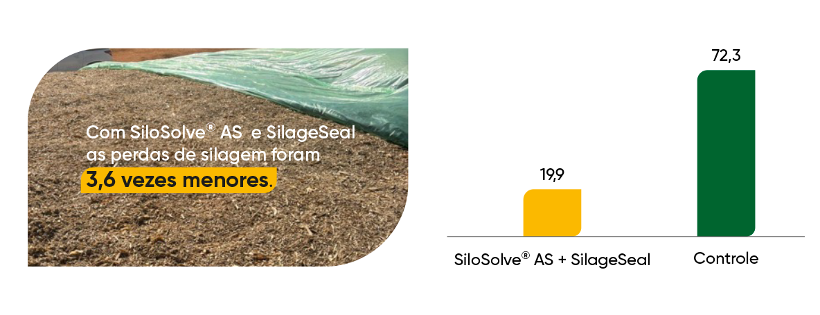 Figura 3. Perdas de silagem (ton de MN) dos silos de acordo com os tratamentos