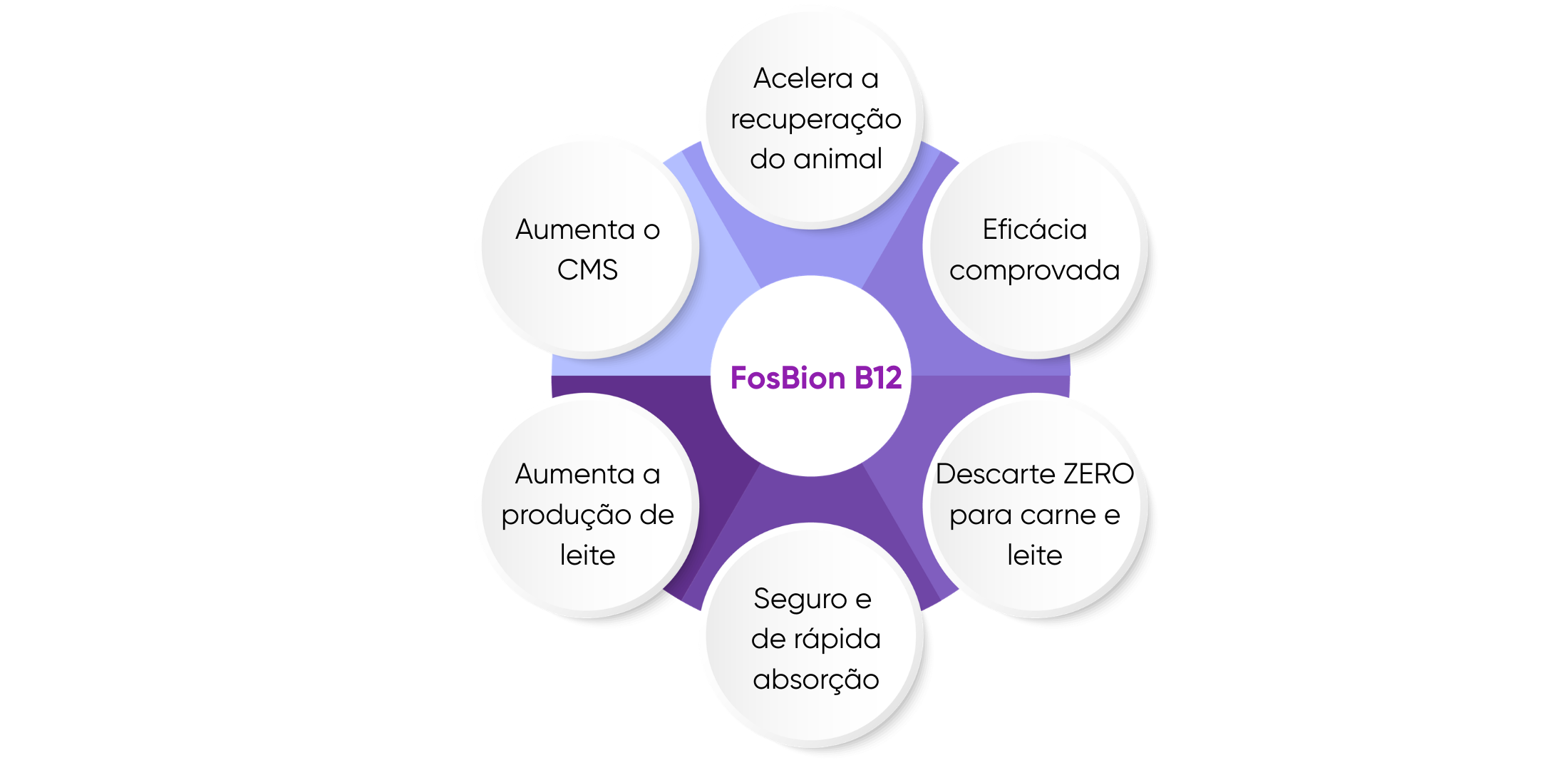 Como o FosBion B12 funciona - Ourofino Saúde Animal