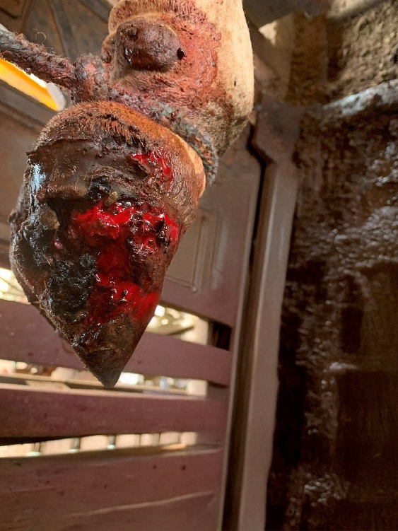 Lesões de casco dos animais do estudo conduzido por Saut et al. (2025).