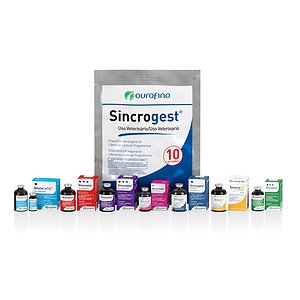 Notícias - Os gargalos da Estação de Monta