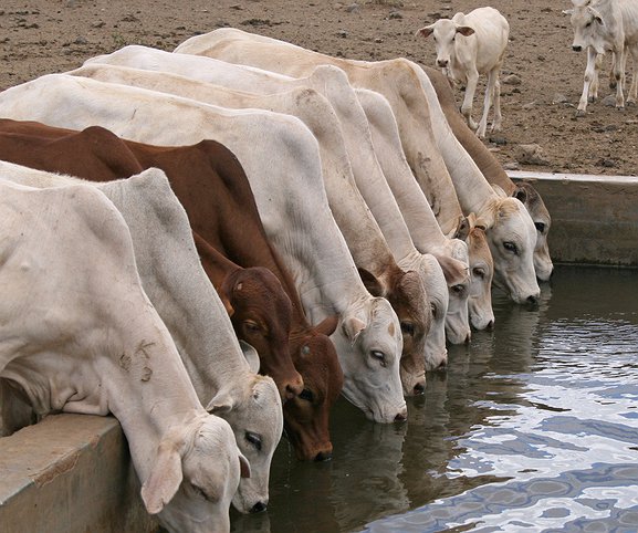 Artigos - Hidratação: o básico que funciona!