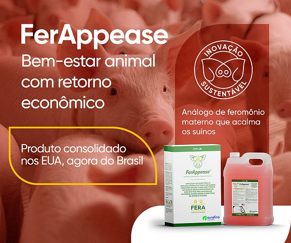 Notícias - Inédito no Brasil, FerAppease traz bem-estar para suínos e retorno econômico ao produtor