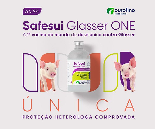 Notícias - Chega ao mercado a 1ª vacina do mundo de dose única contra a doença de Glässer