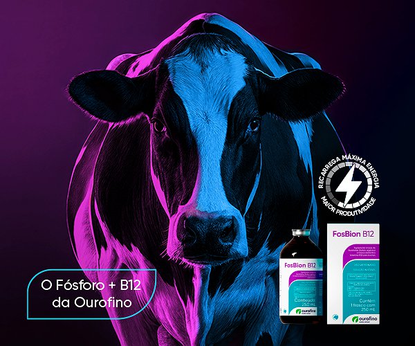 Artigos - FosBion B12 conecta ciência, metabolismo e desempenho