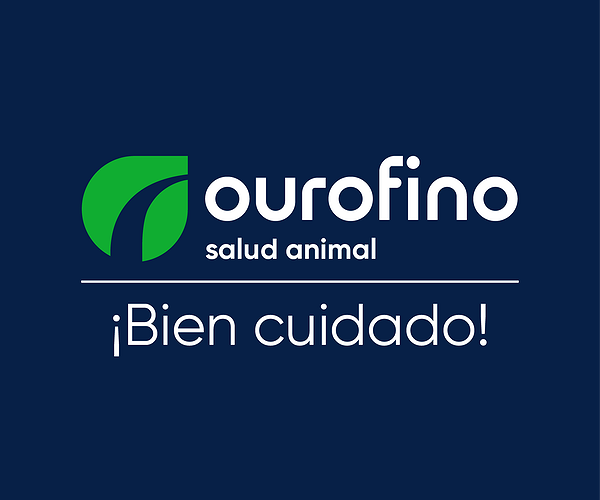 Notícias - El cuidado como esencia que conecta todo lo que hacemos