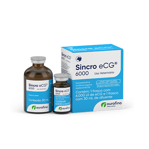 Sincro eCG® 6000